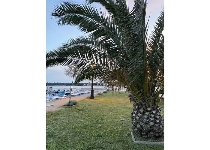 Blizina Mora Ii Modern Retreat Vir